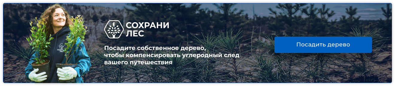 Сохрани лес