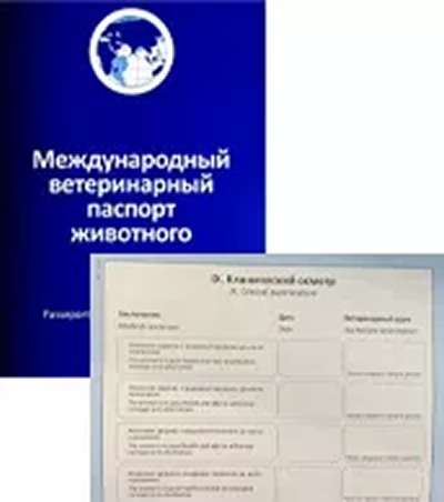 Документы