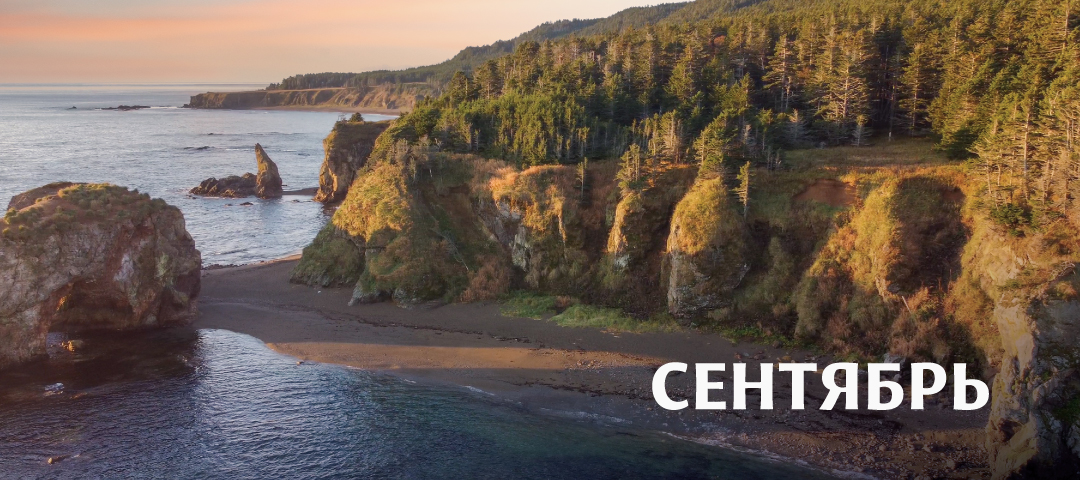 Сентябрь