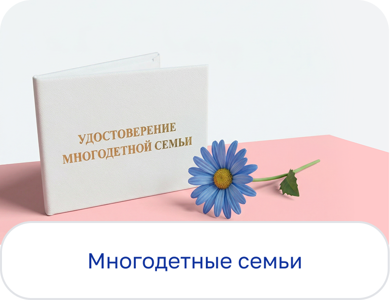 Многодетные семьи